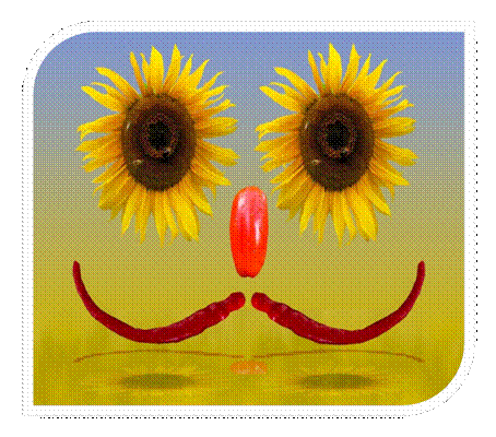 C:\Users\Małgorzata\Downloads\summer-901725_1280.jpg